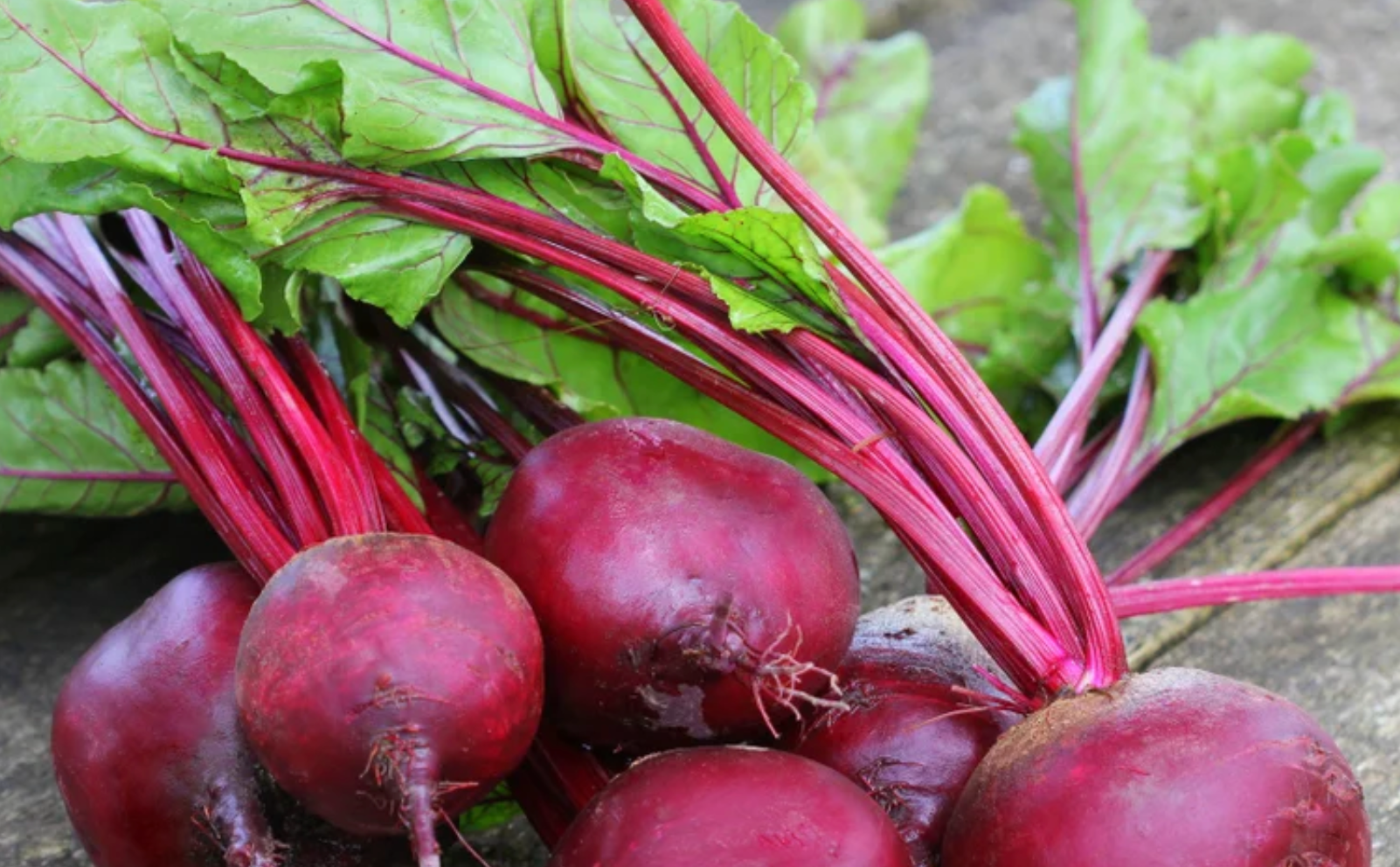 <strong>Backed by Science,</strong> natural nitrate products that really work